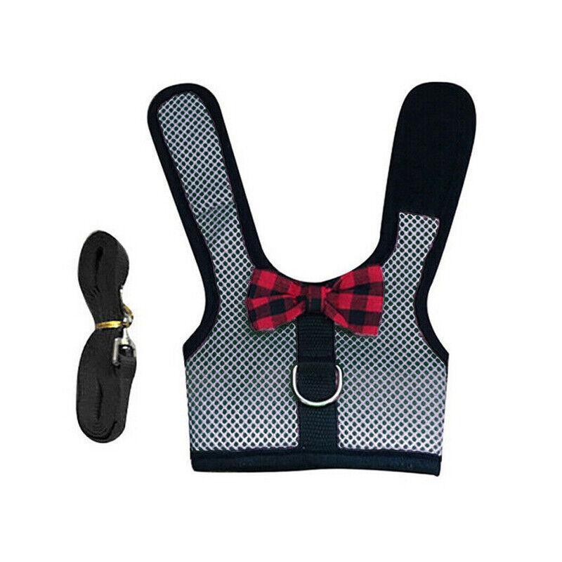 Mesh Rabbit Harness and Leash Set - Grey, Size L (Chest 35-40 cm)