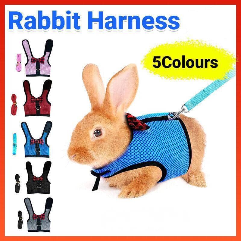 Mesh Rabbit Harness and Leash Set - Red, Size L (Chest 35-40 cm) - view 2