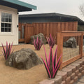 Metal Agave Plant Garden Ornament Realistic Wrought Iron for Yard, Patio and Lawn - view 5