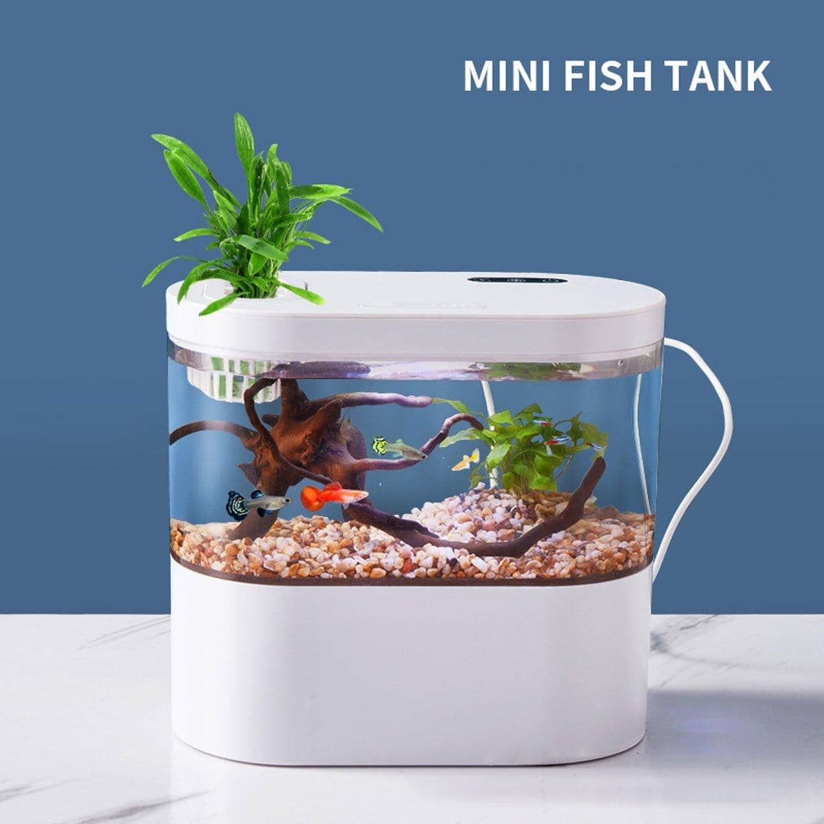 Mini Desktop Fish Tank with LED Light and Bottom Filter, 4 Litre - Black - view 5