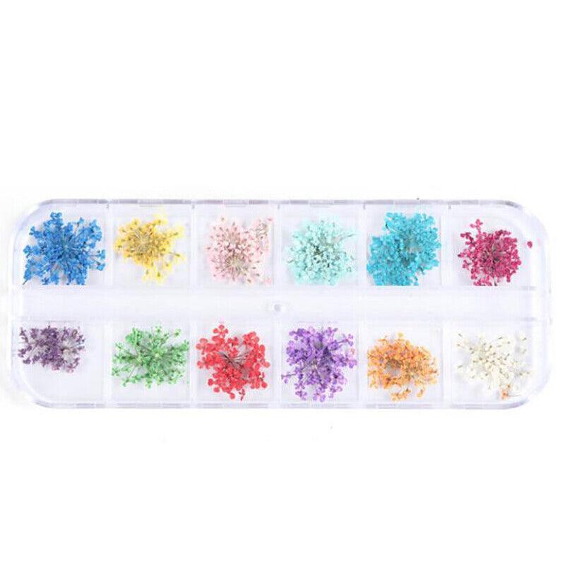Nail Art Dried Flower Decorations in a 12-Compartment Set