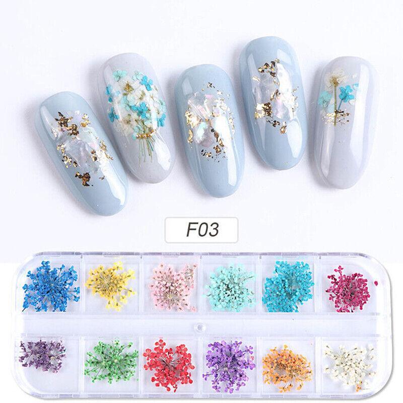 Nail Art Laser Flakes in a 12-Compartment Set - view 3
