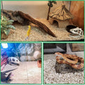 Natural Corn Cob Bedding for Reptiles, 1 kg Bag - view 5