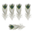 Natural Peacock Eye Feathers for Craft and Vase Decor - Pack of 5, 26-30cm