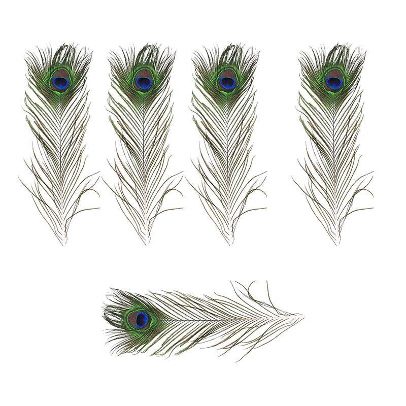 Natural Peacock Eye Feathers for Craft and Vase Decor - Pack of 5, 26-30cm