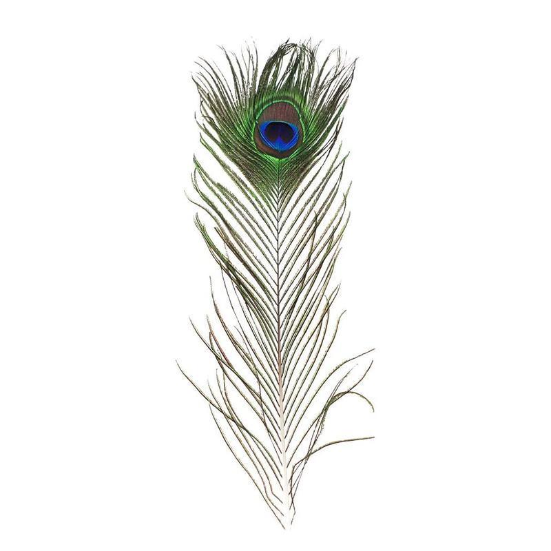 Natural Peacock Eye Feathers for Craft and Vase Decor - Pack of 5, 26-30cm - view 3