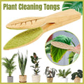 Natural Pine Wood Handheld Leaf Cleaning Brush for Potted Plants