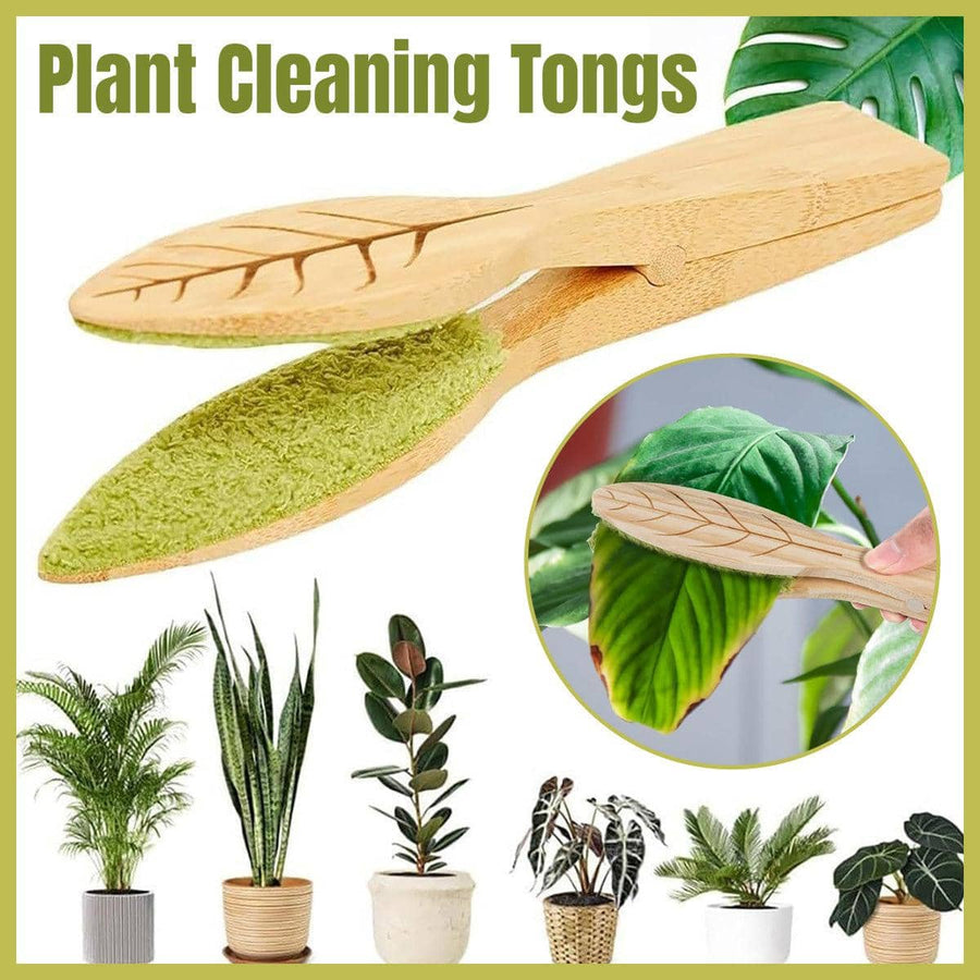 Natural Pine Wood Handheld Leaf Cleaning Brush for Potted Plants