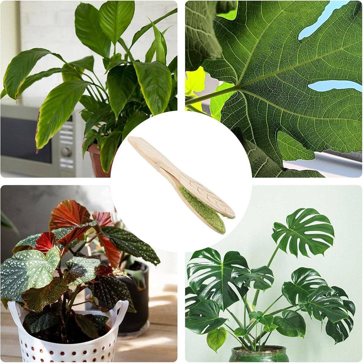 Natural Pine Wood Handheld Leaf Cleaning Brush for Potted Plants - view 4