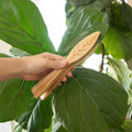 Natural Pine Wood Handheld Leaf Cleaning Brush for Potted Plants - view 5