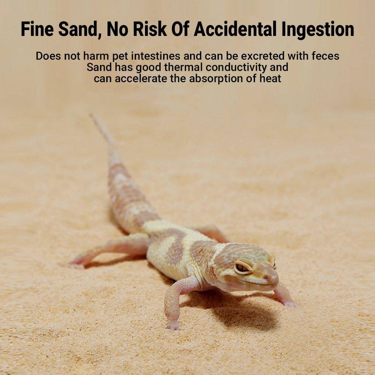 Natural Reptile Sand Substrate for Terrariums, 1.8 kg - White - view 4