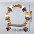 Natural Wood Parrot Swing Chew Toy - Pine Cones - view 4
