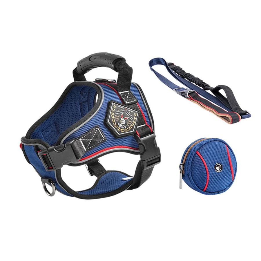 No Pull Dog Harness and Bungee Leash Set Padded Vest for Medium and Large Dogs - Size L (Neck 55-67 cm)