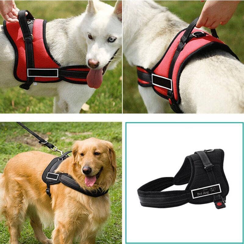 No Pull Dog Harness with Padded Handle, XL (Chest 77 to 108 cm) - Red - view 5