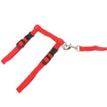 Nylon Cat Harness and Lead Set, Adjustable Strap for Outdoor Walks - Red - view 4