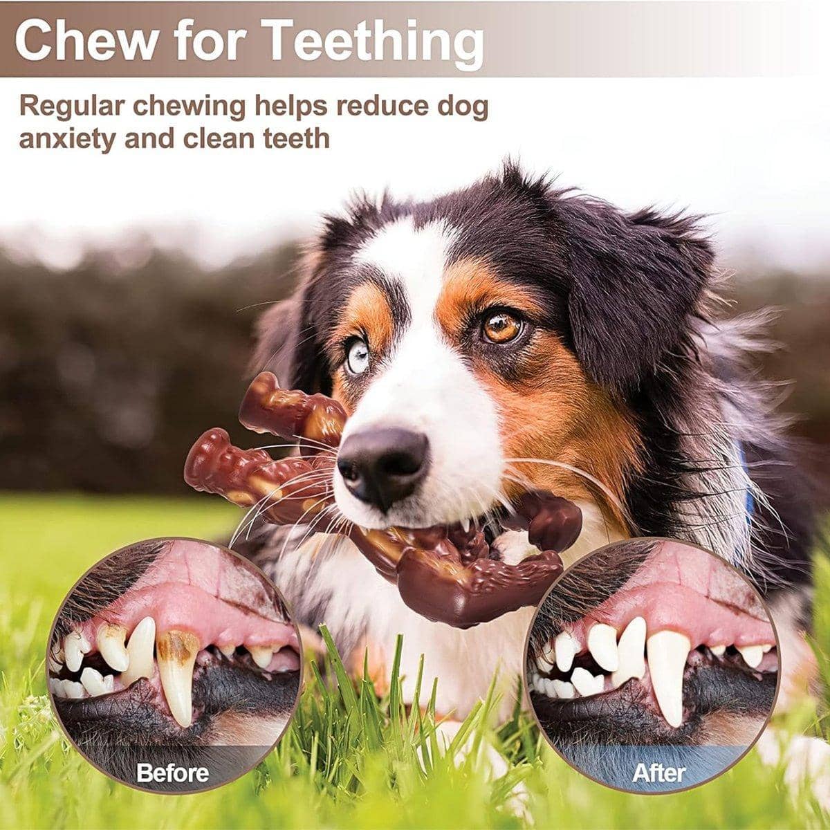 Nylon Dog Chew Toy - Beef Flavour, Gorilla Shape for Medium and Large Dogs - view 5
