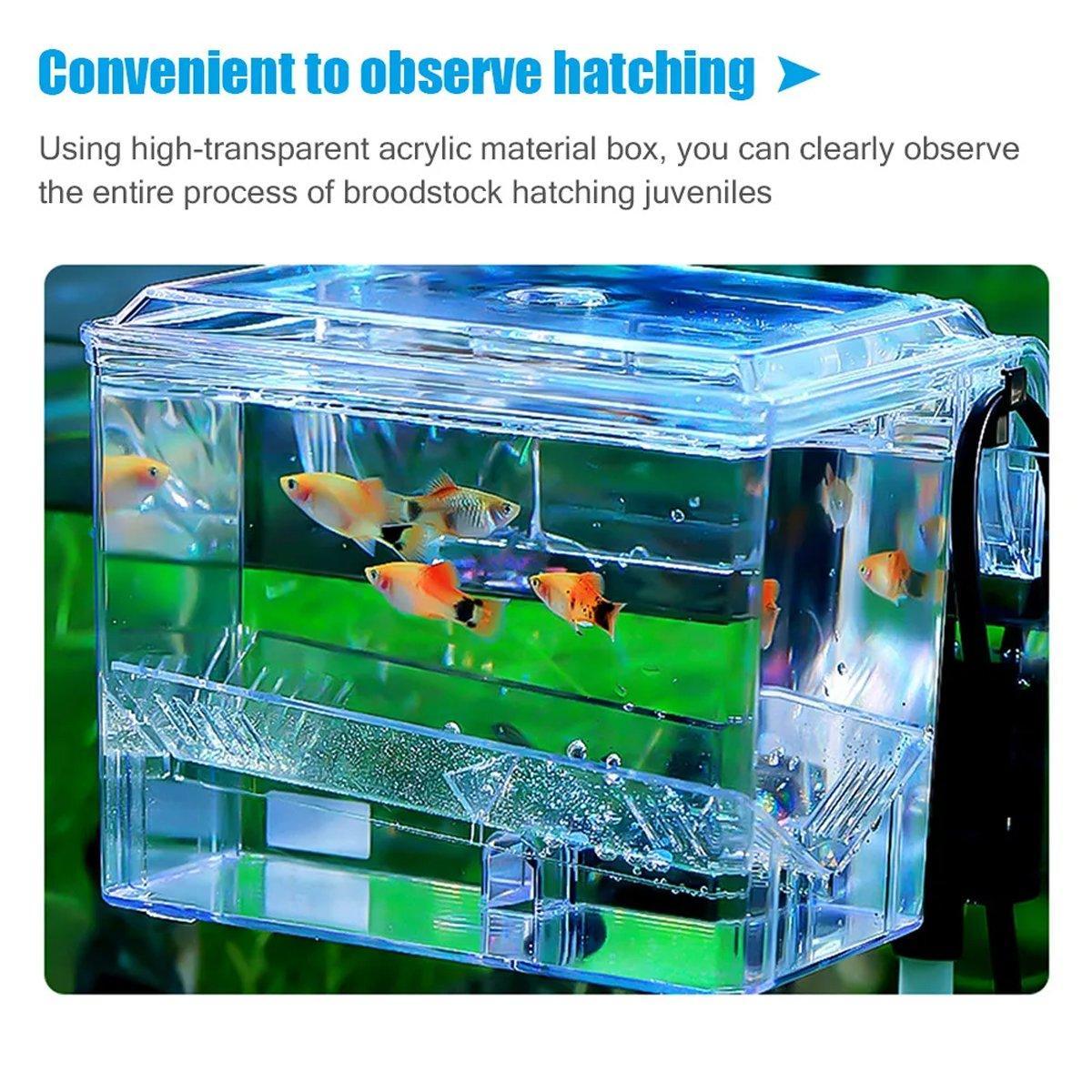 Outboard Fish Breeding Isolation Box for Aquariums, 16 x 12 x 13 cm - view 5