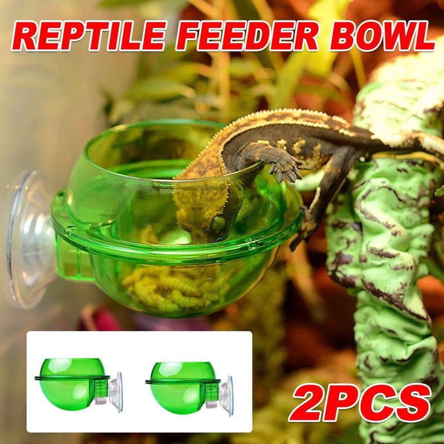 Pack of 2 Suction Cup Reptile Feeder Bowls for Water and Live Food - Transparent Green