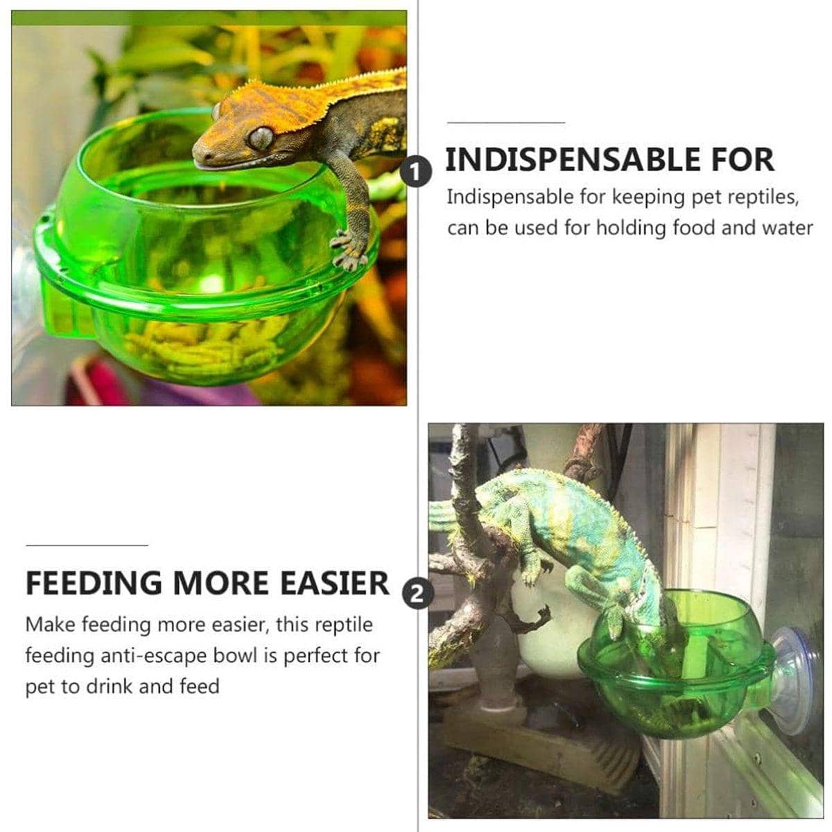 Pack of 2 Suction Cup Reptile Feeder Bowls for Water and Live Food - Transparent Green - view 5