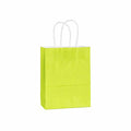 Pack of 20 Small Kraft Paper Gift Bags with Handles for Shopping and Party Favours - Light Green