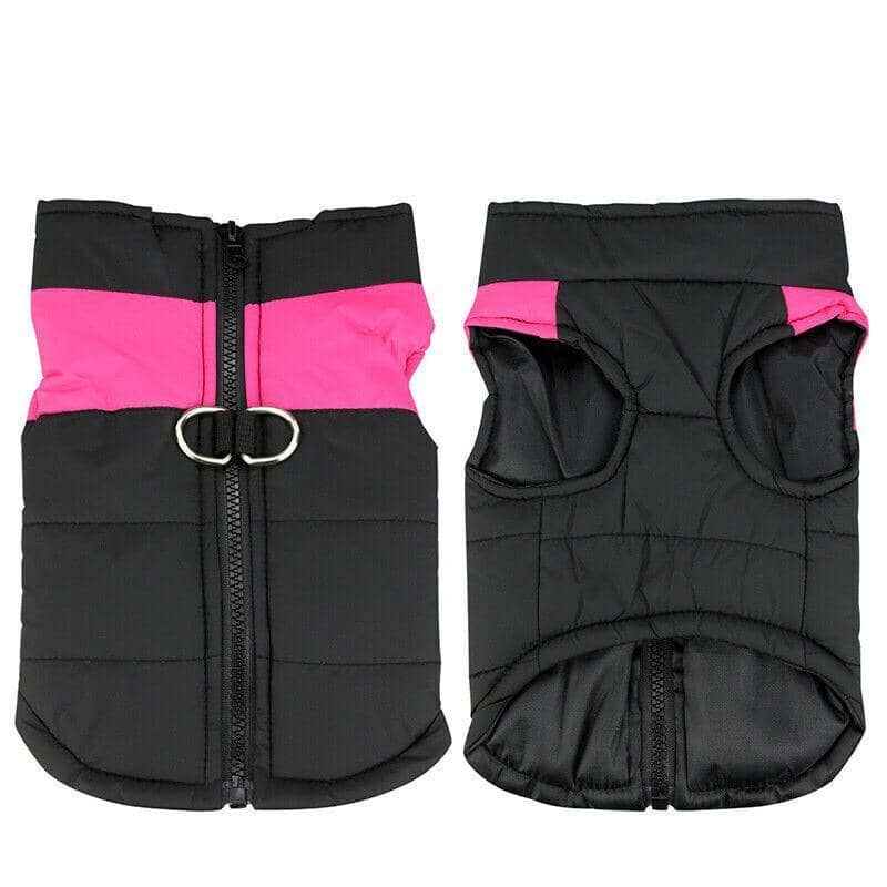 Padded Waterproof Dog Jacket with Front Zip - Black and Pink