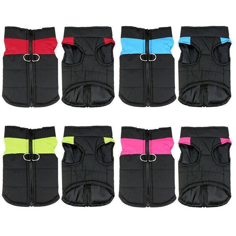 Padded Waterproof Dog Jacket with Zip - Lime Green, 2XL (Chest 54 cm) - view 3