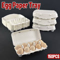 Paper Egg Trays, 10-Slot - White, 150 Pack