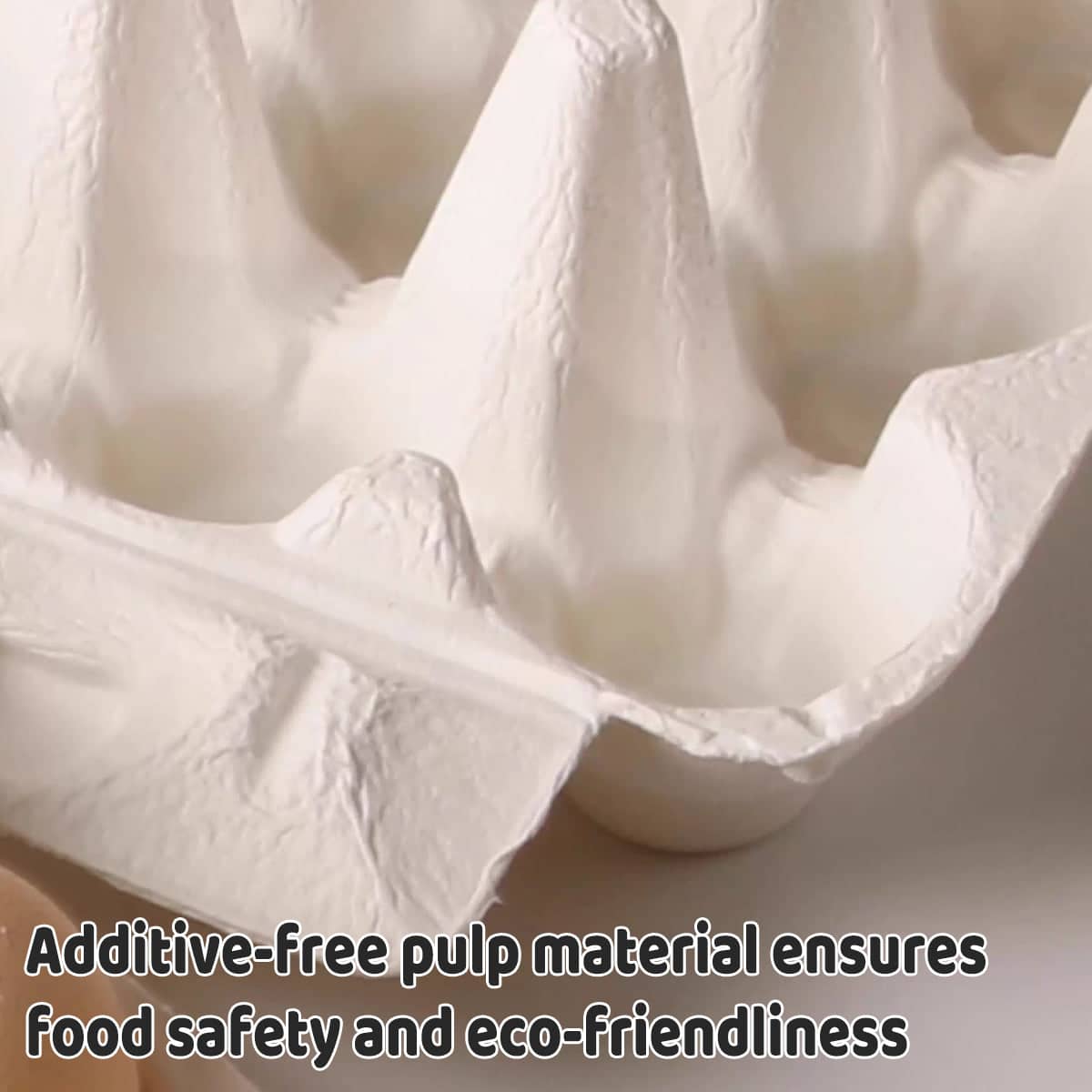 Paper Egg Trays, 10-Slot - White, 150 Pack - view 4