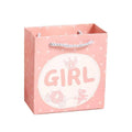 Paper Gift Bags with Handles, Pack of 25 - Pink Girl with Crown