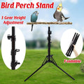 Parrot Activity Stand, Pet Bird Stand with Stick Perch for Birds to Play and Rest