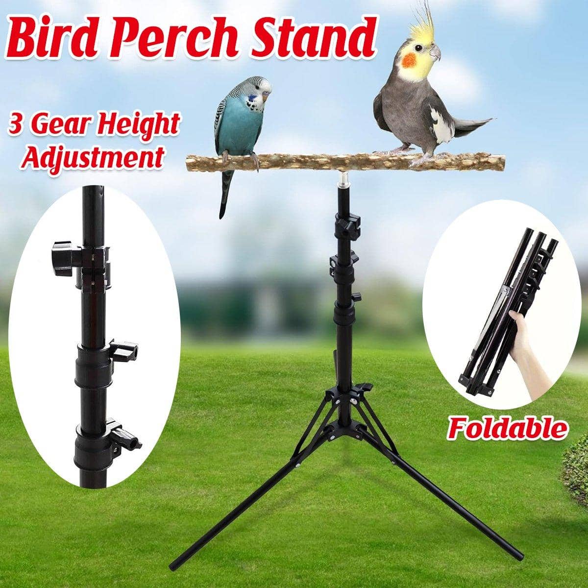 Parrot Activity Stand, Pet Bird Stand with Stick Perch for Birds to Play and Rest