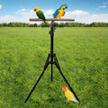 Parrot Activity Stand, Pet Bird Stand with Stick Perch for Birds to Play and Rest - view 4