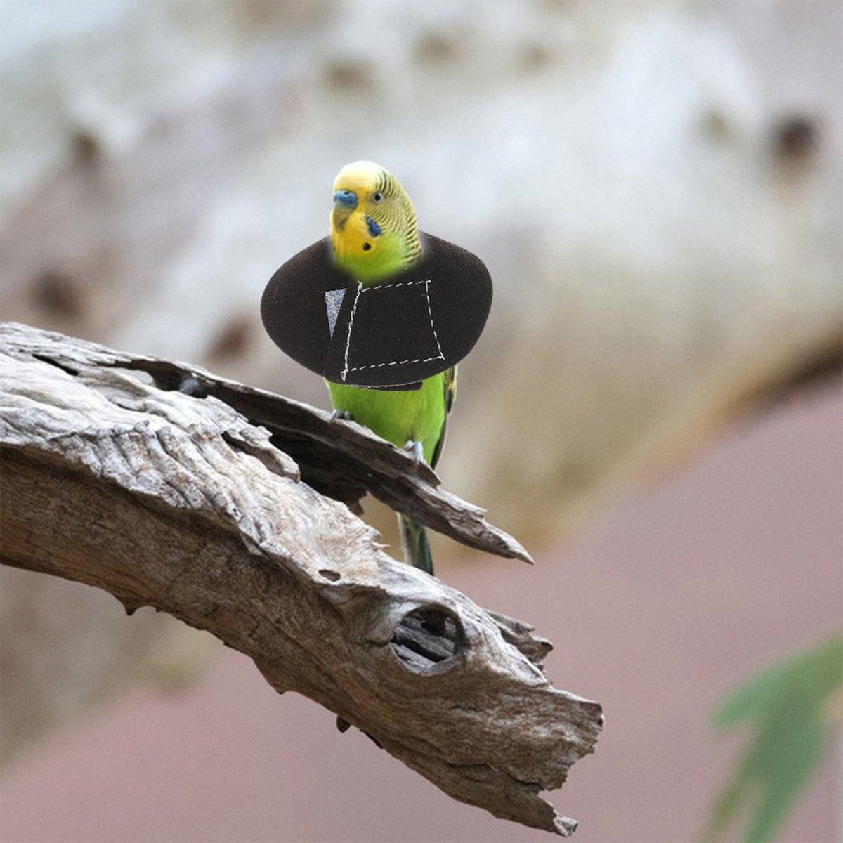 Parrot Bird Anti Bite Collar, Adjustable Neck Guard - Black, M - view 10