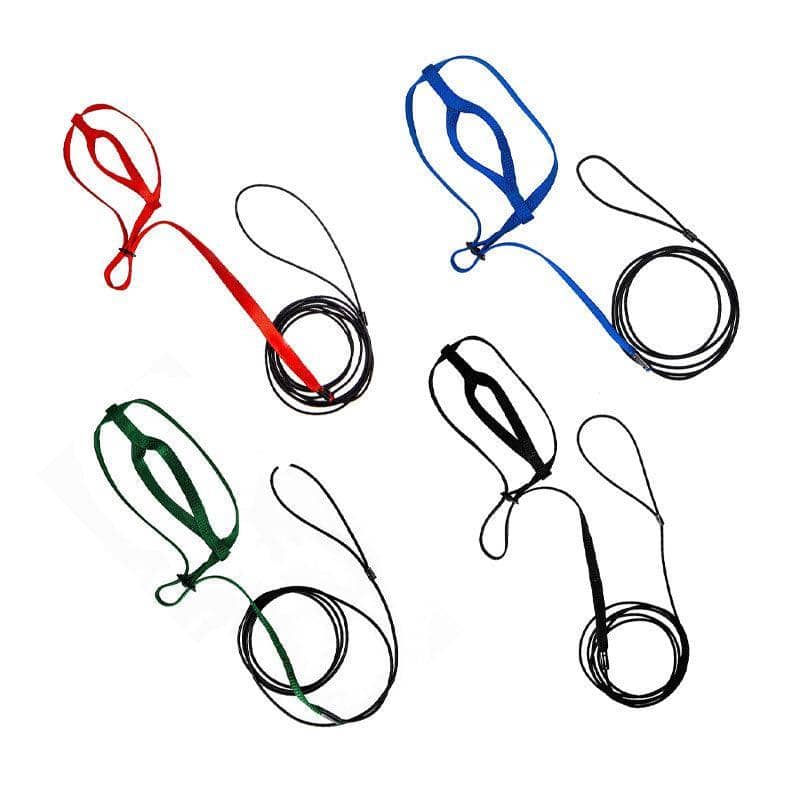 Parrot Bird Harness and Leash for Flying Training, XL (130cm Rope) - Black - view 3
