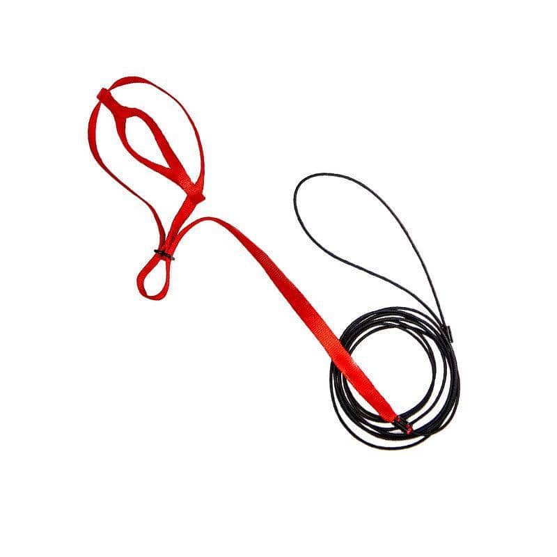 Parrot Bird Harness and Leash for Flying Training, XL (130cm Rope) - Red