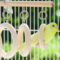 Parrot Chewing Toy Hanging Wooden Ring Swing for Small and Medium Parrots - view 5