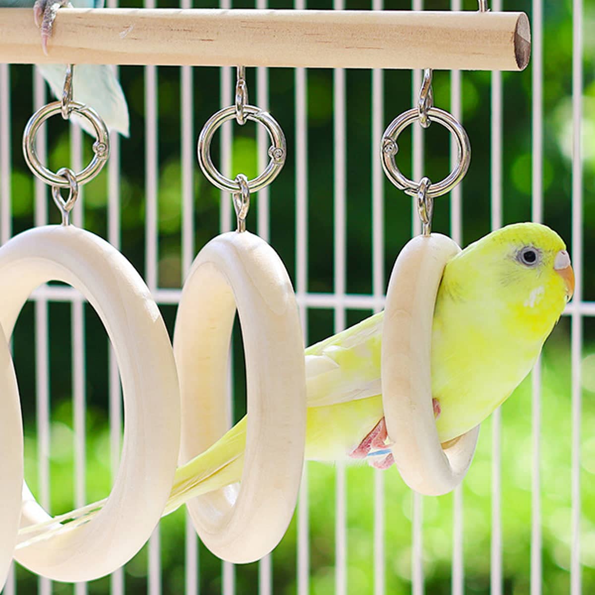 Parrot Chewing Toy Hanging Wooden Ring Swing for Small and Medium Parrots - view 5