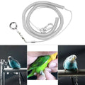 Parrot Flight Training Rope with Anti-Slip Leg Ring, 3 m - 4mm Diameter - view 5
