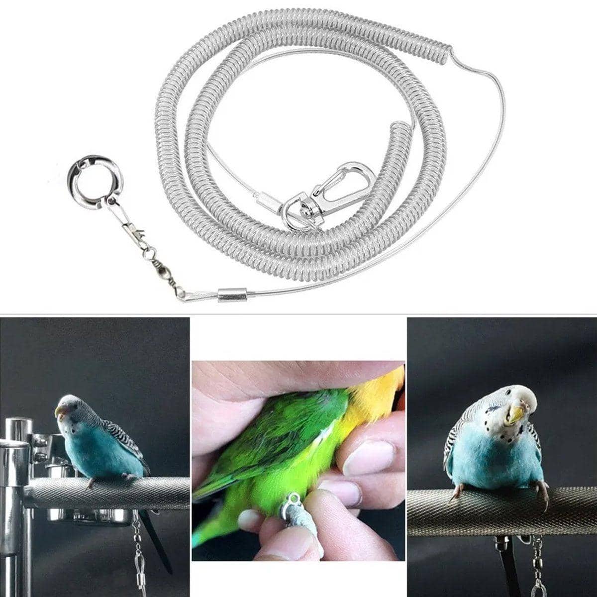Parrot Flight Training Rope with Anti-Slip Leg Ring, 3 m - 4mm Diameter - view 5