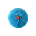 Parrot Foraging Wheel Toy, Bird Chew Food Dispenser - Blue