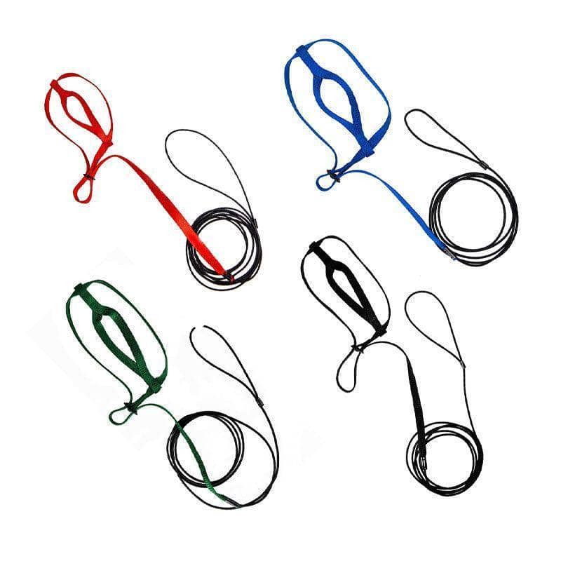 Parrot Harness and Flying Leash, Large 130 cm Rope - Blue - view 3