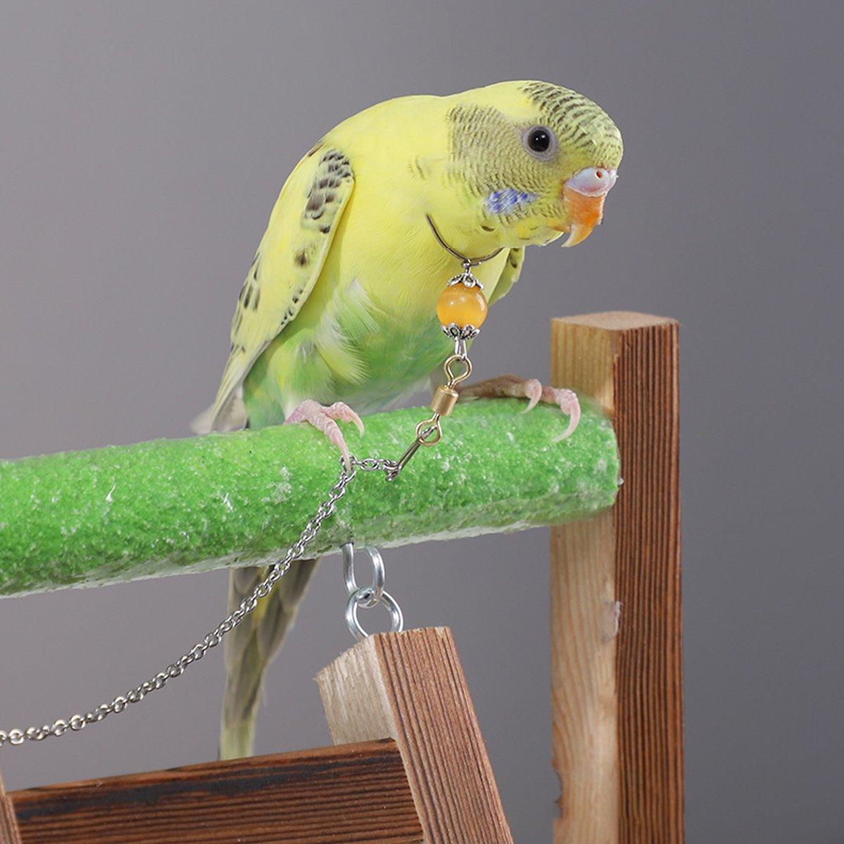 Parrot Neck Collar with 30cm Stainless Steel Chain - Small, 1.6cm Diameter - view 12