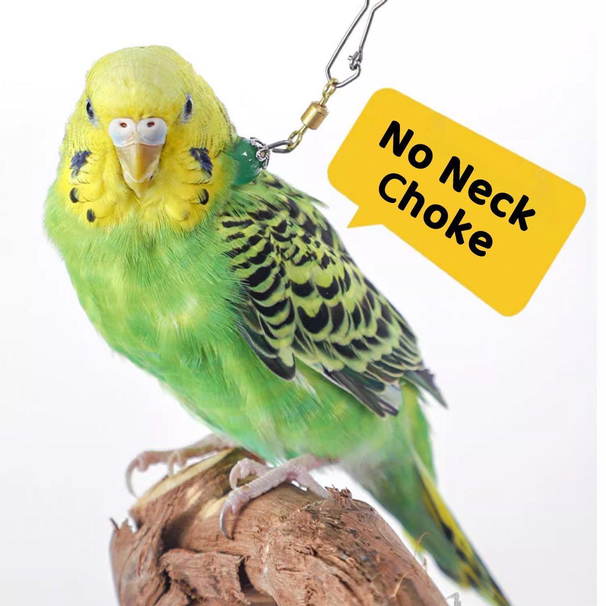 Parrot Neck Collar with 30cm Stainless Steel Chain - Small, 1.6cm Diameter - view 17