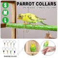 Parrot Neck Collar with 30cm Stainless Steel Chain - Small, 1.6cm Diameter - view 2