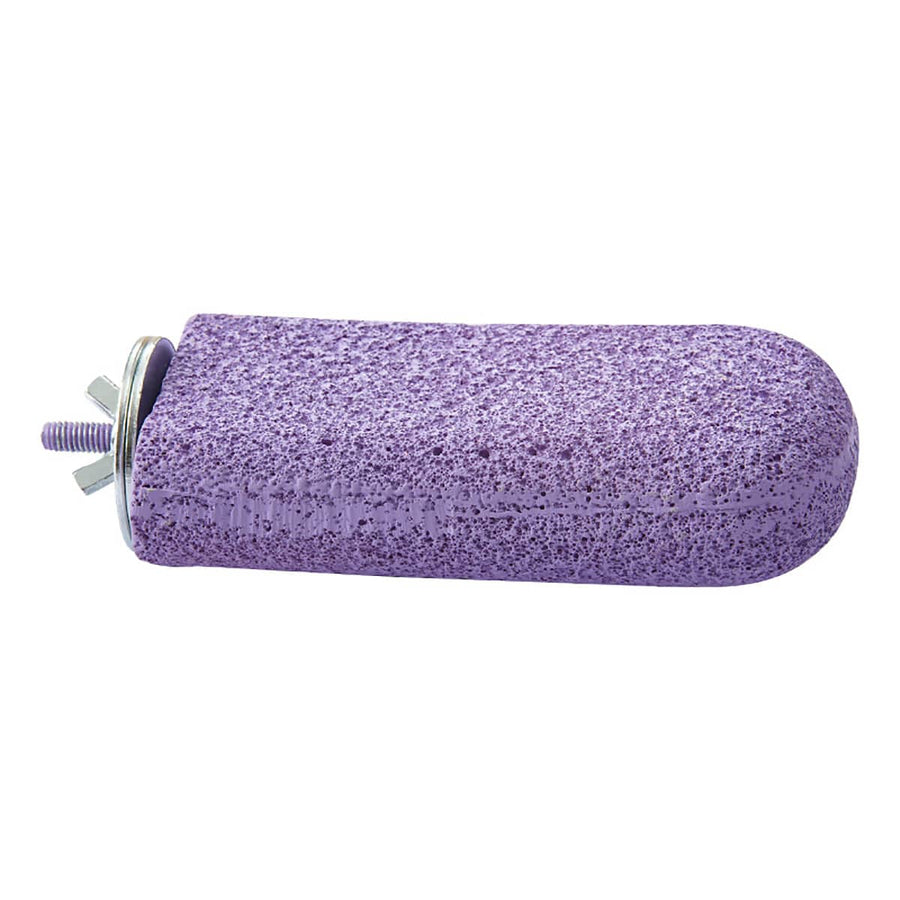 Parrot Perch with Textured Ice Cream Platform - Purple