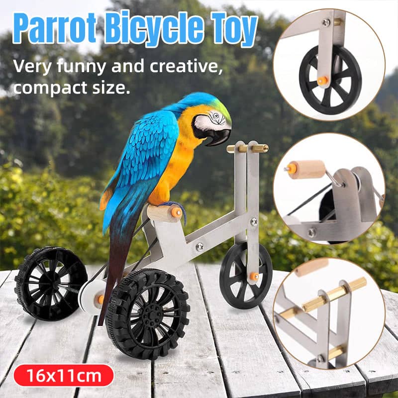 Parrot Training Bicycle Toy Exercise Bike for Birds, Fun Activity Toy