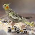 Parrot Training Pulley Toy Pack of 2 for Interactive Bird Play with Small Parrots - view 5