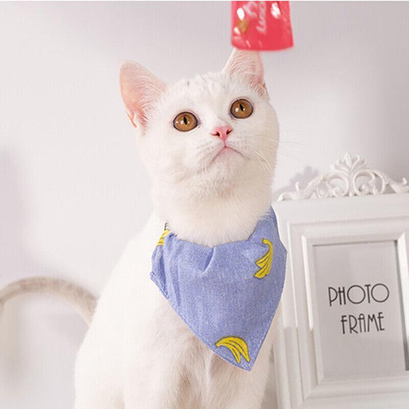 Pet Bandana-Style Collar, Large (Neck 18 to 33 cm) - Blue Wave Print - view 5