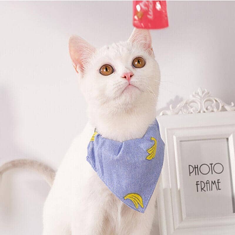 Pet Bandana-Style Collar, Large (Neck 18 to 33 cm) - Watermelon Print - view 5