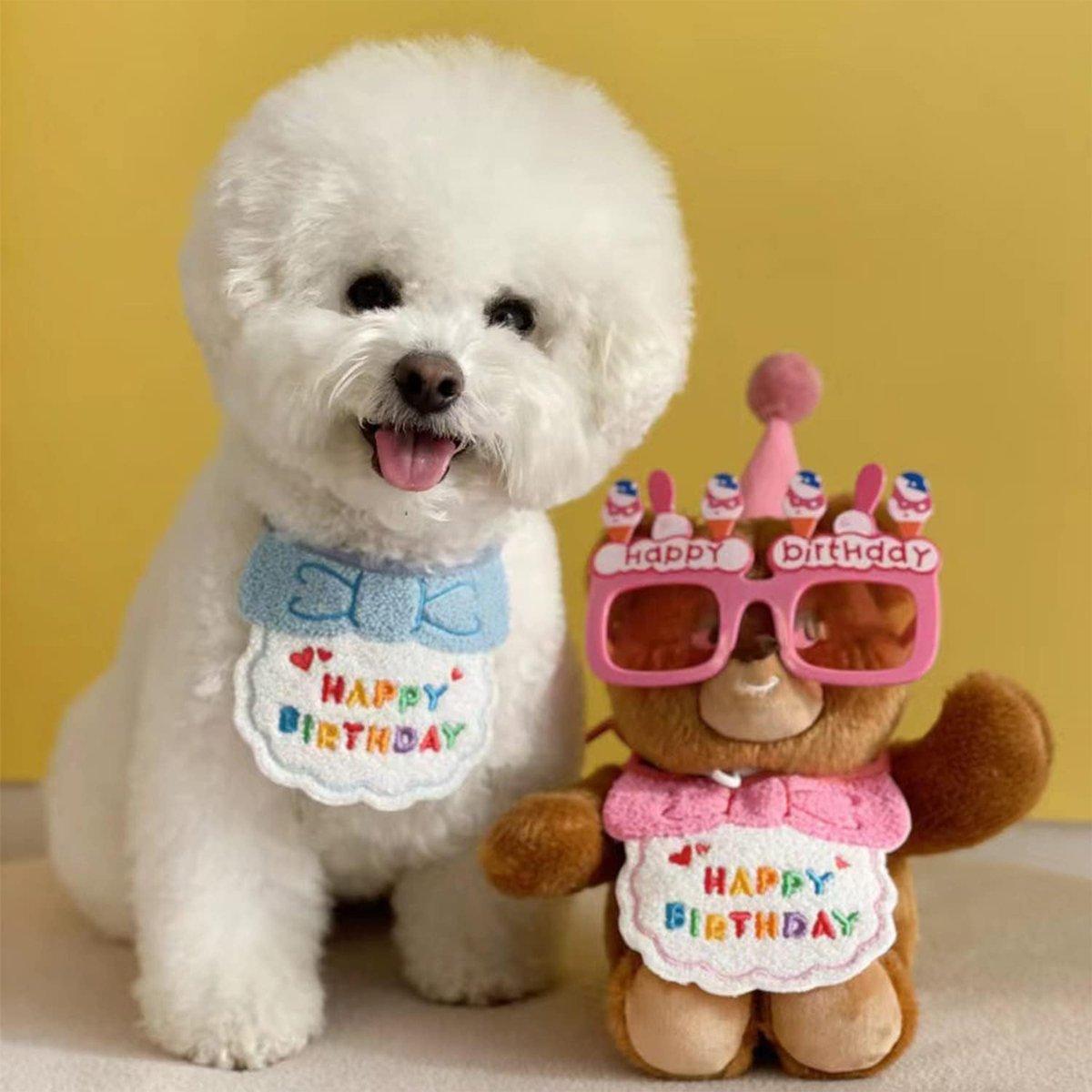 Pet Birthday Hat and Scarf Set for Dogs and Cats - Purple - view 5